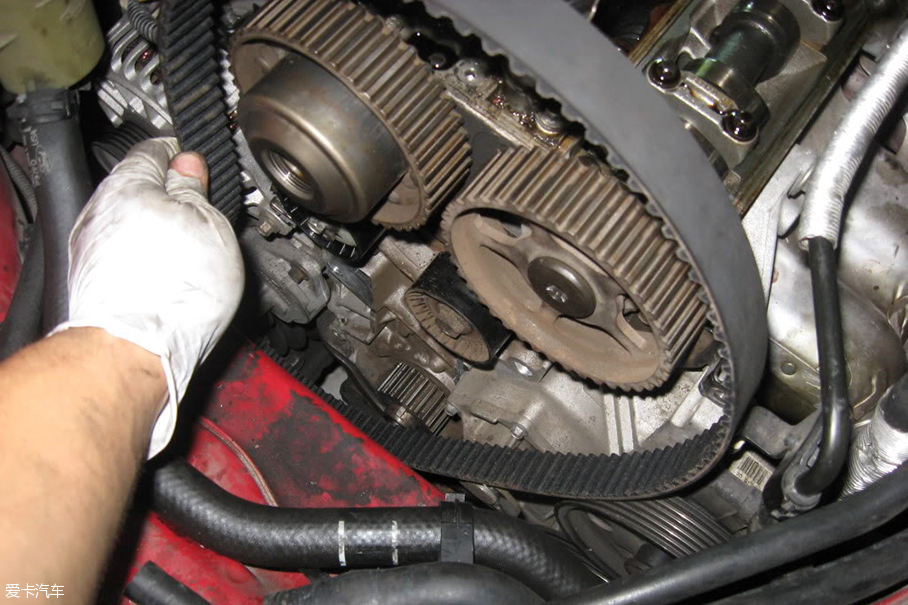 Timing belt and timing chain