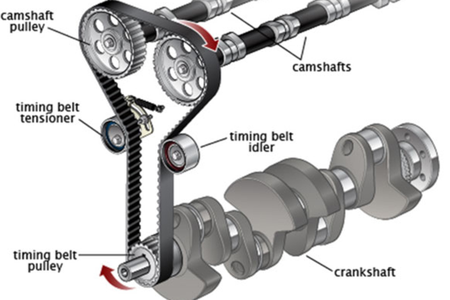 Timing belt and timing chain