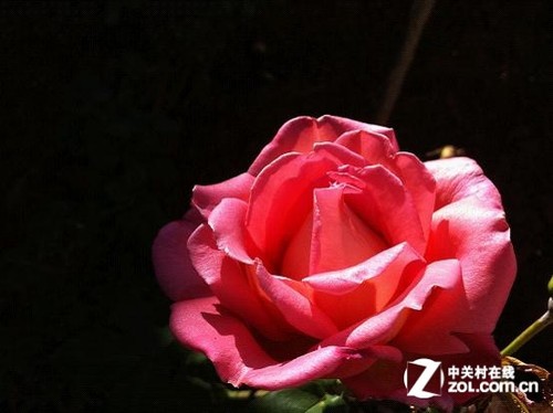 The first part of the mobile phone photo collection: the skills of taking beautiful photos with mobile phones