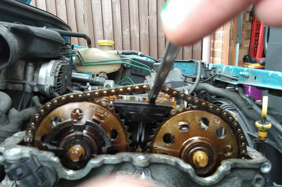 Timing belt and timing chain